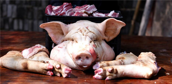 1、2018年3月17日，猪肉好吃吗？对于平时猪肉都吃腻了的我们而言，估计，评价不高！但是，在位于广西梧州的深山里，十里八乡对猪肉的评价是：无猪不成席！每每有宴席，一定是全猪宴！