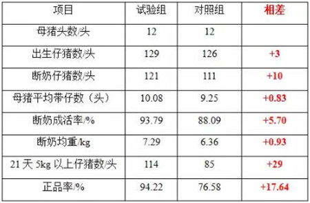 中国养猪网