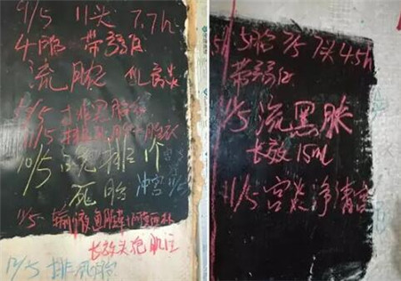 中国养猪网