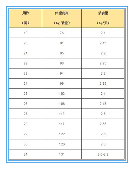 亿万先生手机版