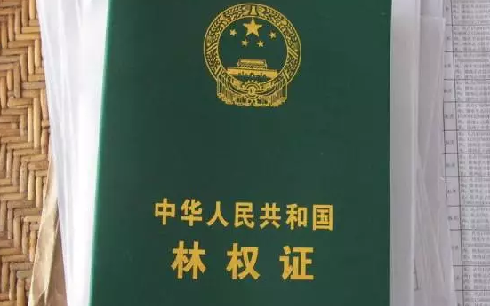 江南林交所