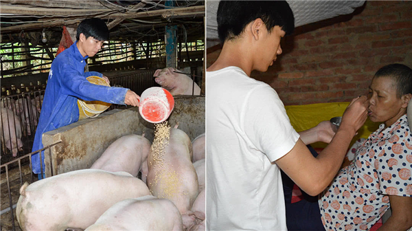 农村90后大学生养猪救母：“没时间谈恋爱，我要回家喂猪”