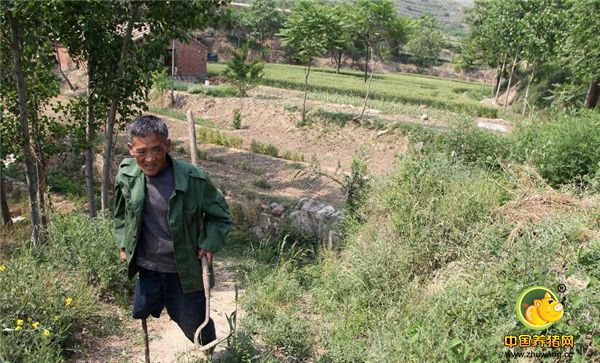 在山西省的稷山县农村有一位失去右腿残疾人，他的名字叫闫登奎，今年已经60岁了，他自强自立，坚强面对生活在家乡传为佳话。这是下地劳动的闫大哥，走在山路上。