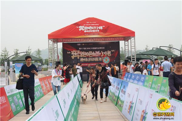 第十六届(2018)中国畜牧业博览会--奔跑吧!小