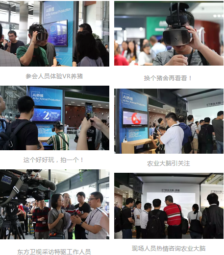 6月7日，以“驱动数字中国”为主题的云栖大会·上海峰会在上海世博展览中心隆重举行，特驱作为中国AI智慧养猪驱动者，王德根董事长应邀参加大会,并与阿里云总裁胡晓明共同发布了ET农业大脑。