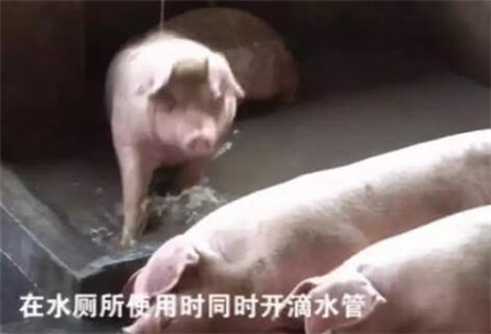 亿万先生手机版