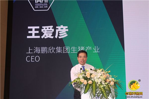 泰州鹏欣老总_泰州鹏欣酒店(3)