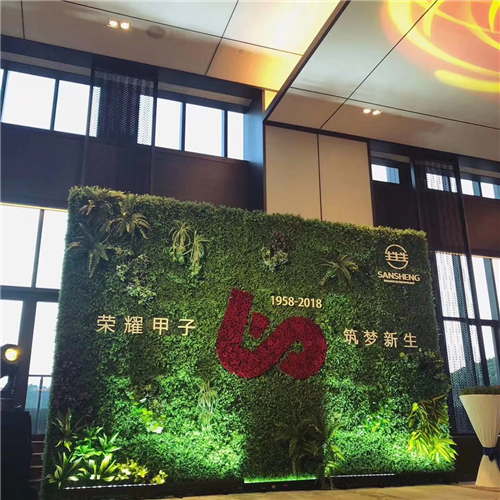 明道若昧;进道若退;夷道若纇。
