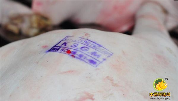 胡志明市饲养公司代表表示，每公斤3万越南盾的价格（屠宰、切割）实在太低，越南国内市场猪肉收购价格也能达到每公斤3-4.5万越南盾。