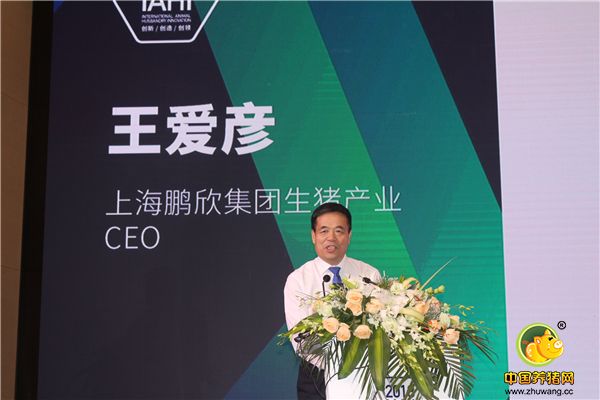 上海鹏欣集团生猪产业CEO王爱彦先生