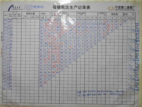 母猪:1165(配怀 1015 )         26296/年     23666/年      后备