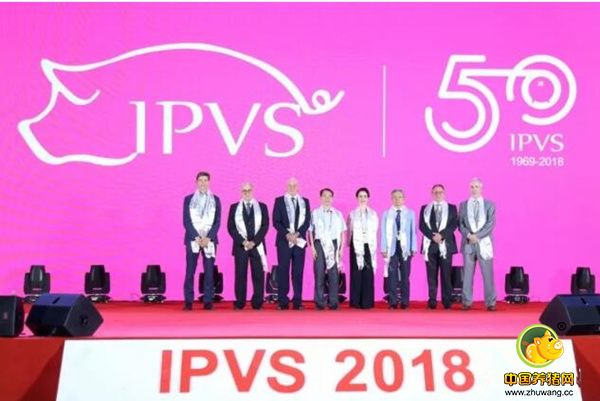 IPVS50周年纪念