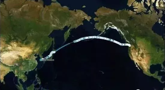 7月6日上午,中国网友的目光聚焦在了黄海上一艘满载大豆、向大连港狂奔的美国货船,这艘船名为“飞马峰”(Peak Pegasus)号。