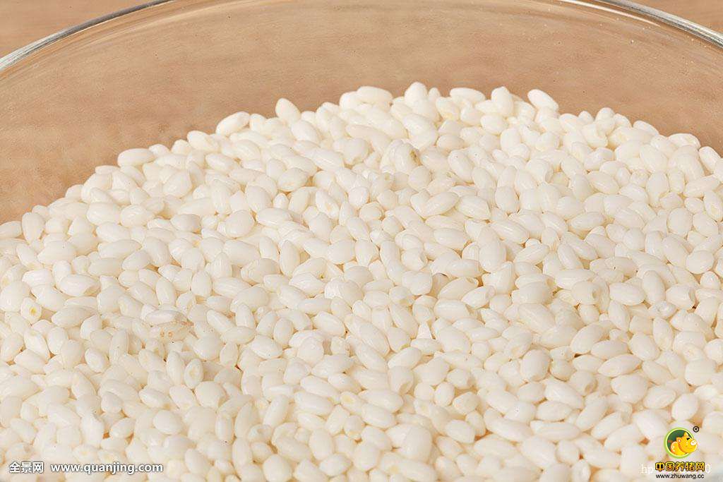 成都常年收购玉米高粱白小麦