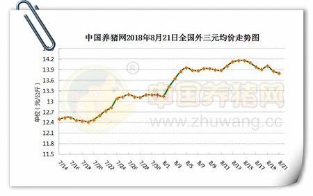 08月21日：猪瘟爆发应激期，屠企却逆势提价！意欲何为？