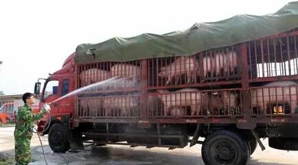 天邦股份分享非洲猪瘟防范措施，家庭农场暂停分批次销售！