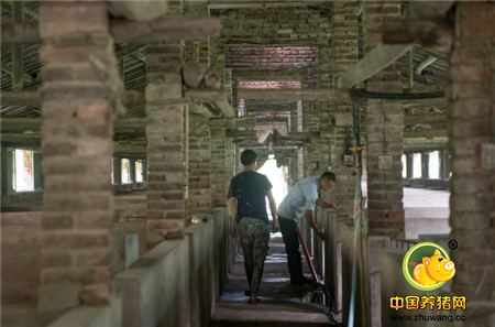 刘家亮的养猪场干净整洁卫生，并且保持一天24小时通风，让猪生活的舒适又卫生。