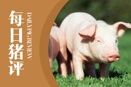 09月21日：猪价小幅上涨，节日出栏增加，警惕局地下行风险！