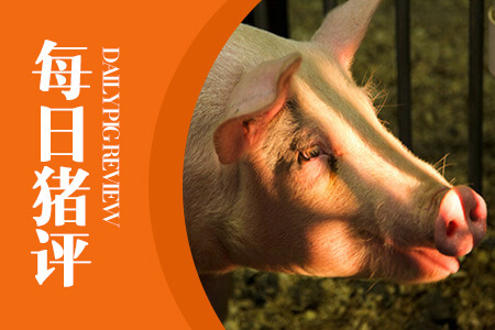 09月25日猪评：节后猪价总体稳定，最新猪瘟疫情确诊于屠宰场.....