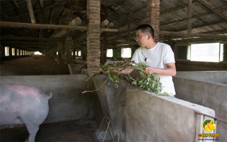 自从跟儿子出生后让朱斌更想快点回家，随后正式辞职去了月薪一万的服装设计工作，从广东返回家乡江西赣州从事农业。