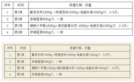 中国养猪网