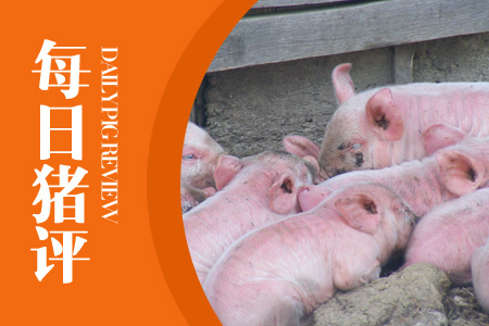 10月10日猪评：全球疫情形势严峻！养殖业生产安全维护……