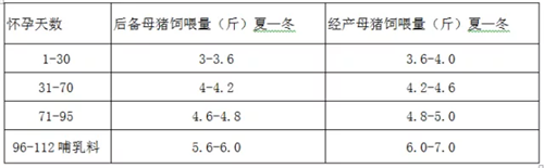 中国养猪网