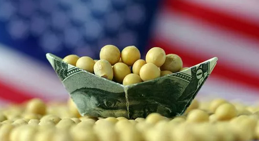 豆粕价格要如何理解？上涨暂时到达了市场的目标位