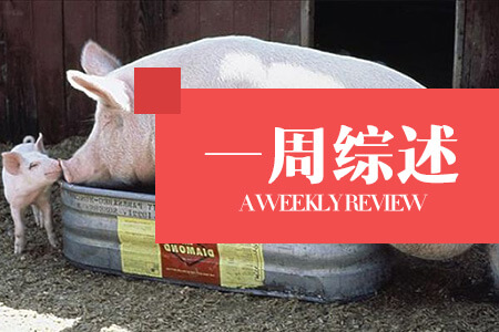 生猪价格总体趋于稳定，四川独领涨幅高位！