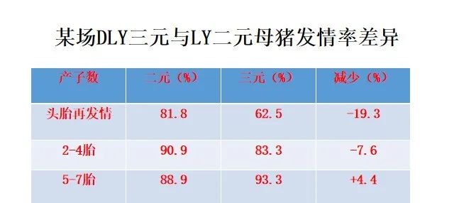 非瘟下三元商品母猪留种方案与营养对策！