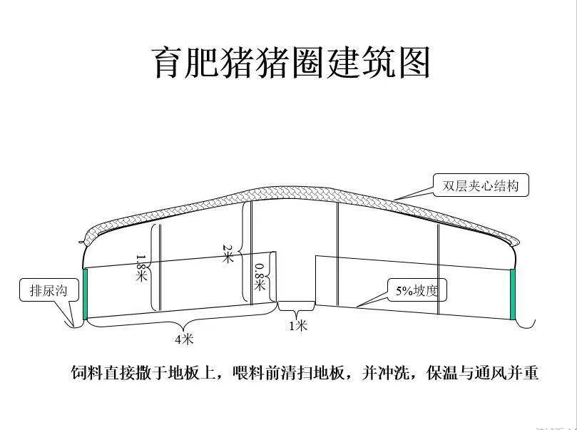 200头能繁母猪养猪场的总体设计规划方案
