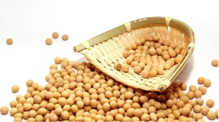 微生物发酵豆粕产活性大豆肽饲料的研究进展