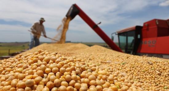 是否按计划下调大豆出口关税？阿根廷政府犹豫不决