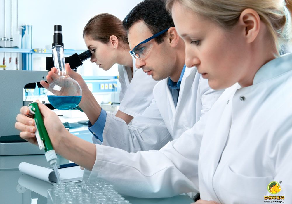 原位PCR技术基本原理、类型、步骤和应用