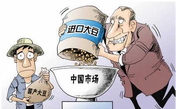 中国大豆进口或出现十五年来首度下滑