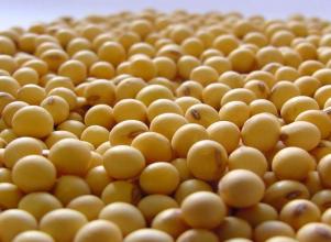 上周美豆价格大幅下跌 国内大豆进口成本下降