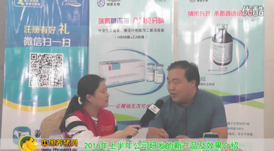 中国养猪网专访瑞普生物有限公司技术总监李建丽先生