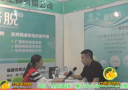 中国养猪网专访福建倍思达生物有限公司总经理唐凯先生