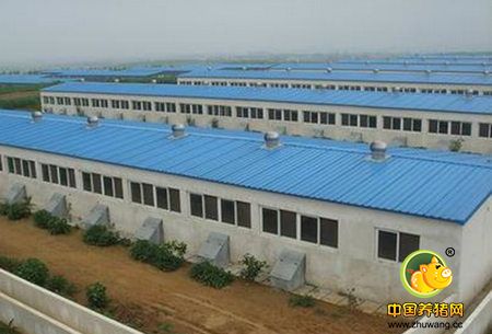 湖南宜章：黄沙镇高标准生猪养殖场即将竣工