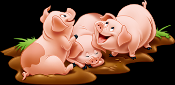 培育猪种的方法介绍