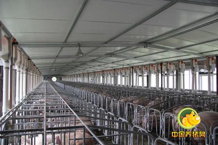 北京市畜牧环监站示范推广猪舍智能环境调控技术
