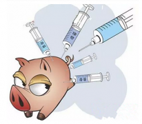 兽药产品这么多 为何猪病更难治？