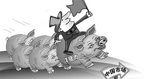 中国批准更多的西班牙企业向其出口猪肉