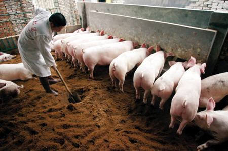 猪场选择专业化饲料企业OEM模式是必然趋势