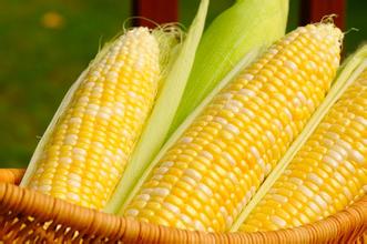 汪洋：玉米收储制度改革是推进农业结构调整的硬仗