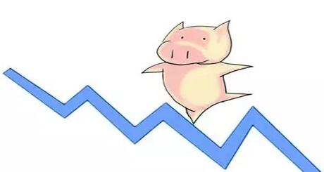 进口猪肉冲击市场 但近期猪价大跌只是阶段性供应导致的