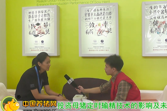 中国养猪网专访宁波市三生药业有限公司李琴女士