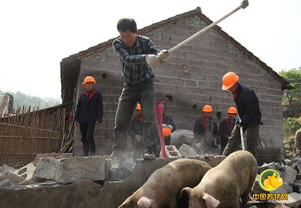 广东河源源城部署黑臭水体及周边养猪场整治工作