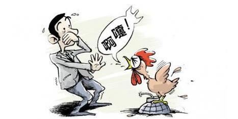 邻国不丹发生高致病性禽流感 涉易感家禽3000只