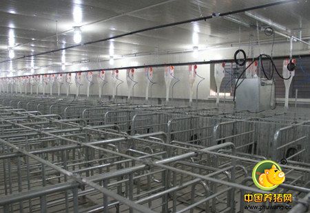 “稳羊、增牛、扩猪” 正大集团在内蒙古投产百万生猪